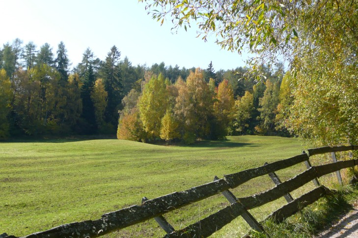Herbstliche Bauminsel