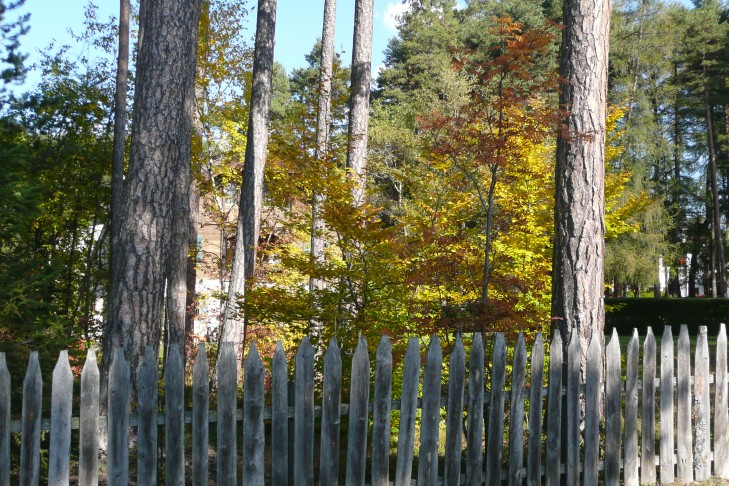 Zaun im Herbst