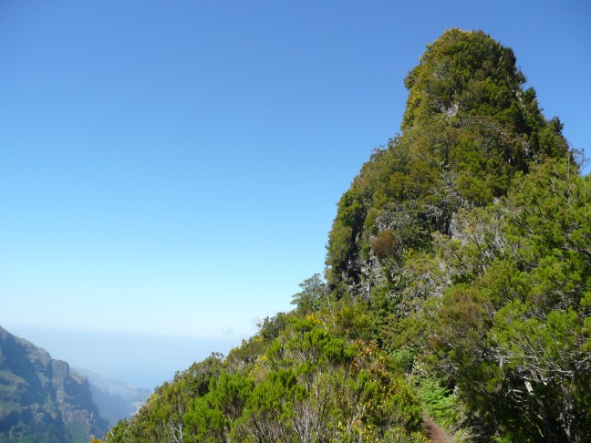 Pico da Encumeada