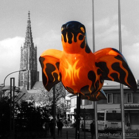 copyright Janich 3