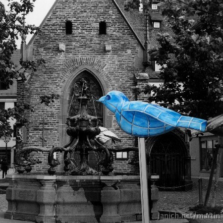 copyright Janich 6
