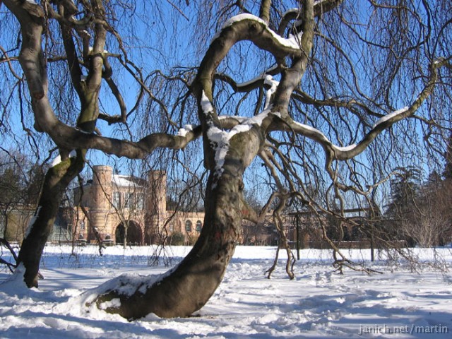 copyright Janich 3