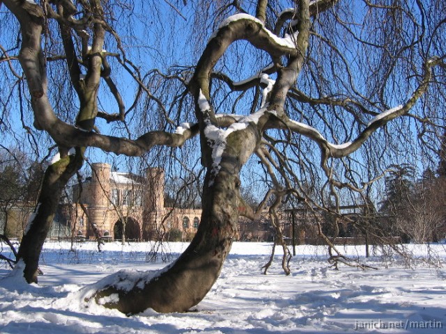 copyright Janich 4